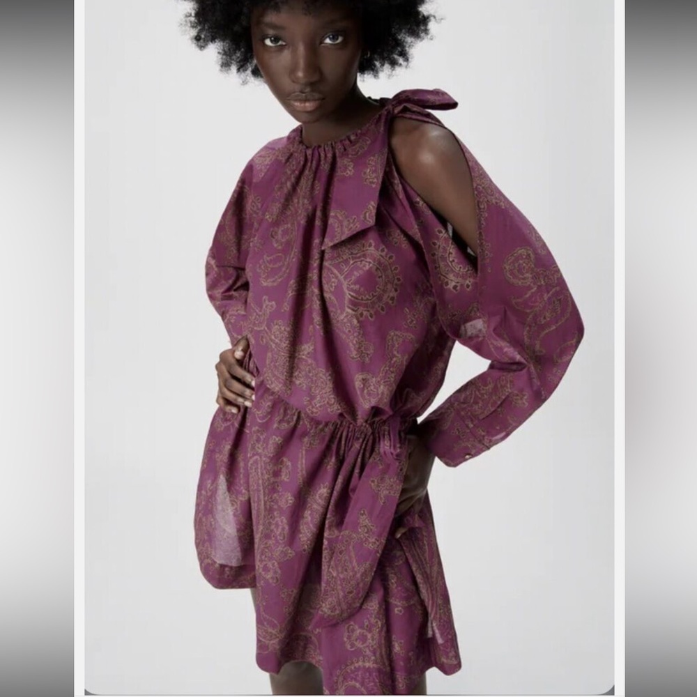 ZARA limited edition long sleeve mini dress - Picture 3 of 16